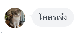 รีวิวจากผู้ใช้ Kitti 2